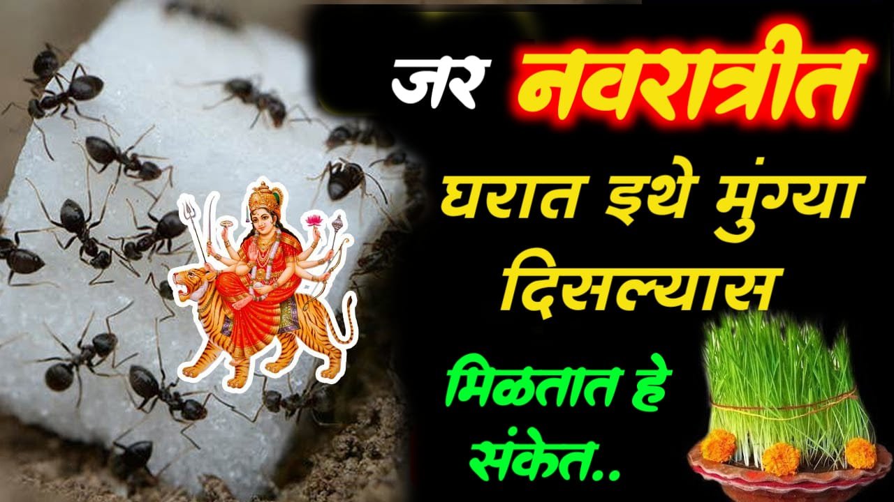 जर नवरात्रीत घरात इथे मुंग्या दिसल्यास मिळतात हे शुभ संकेत, जाणून घ्या..