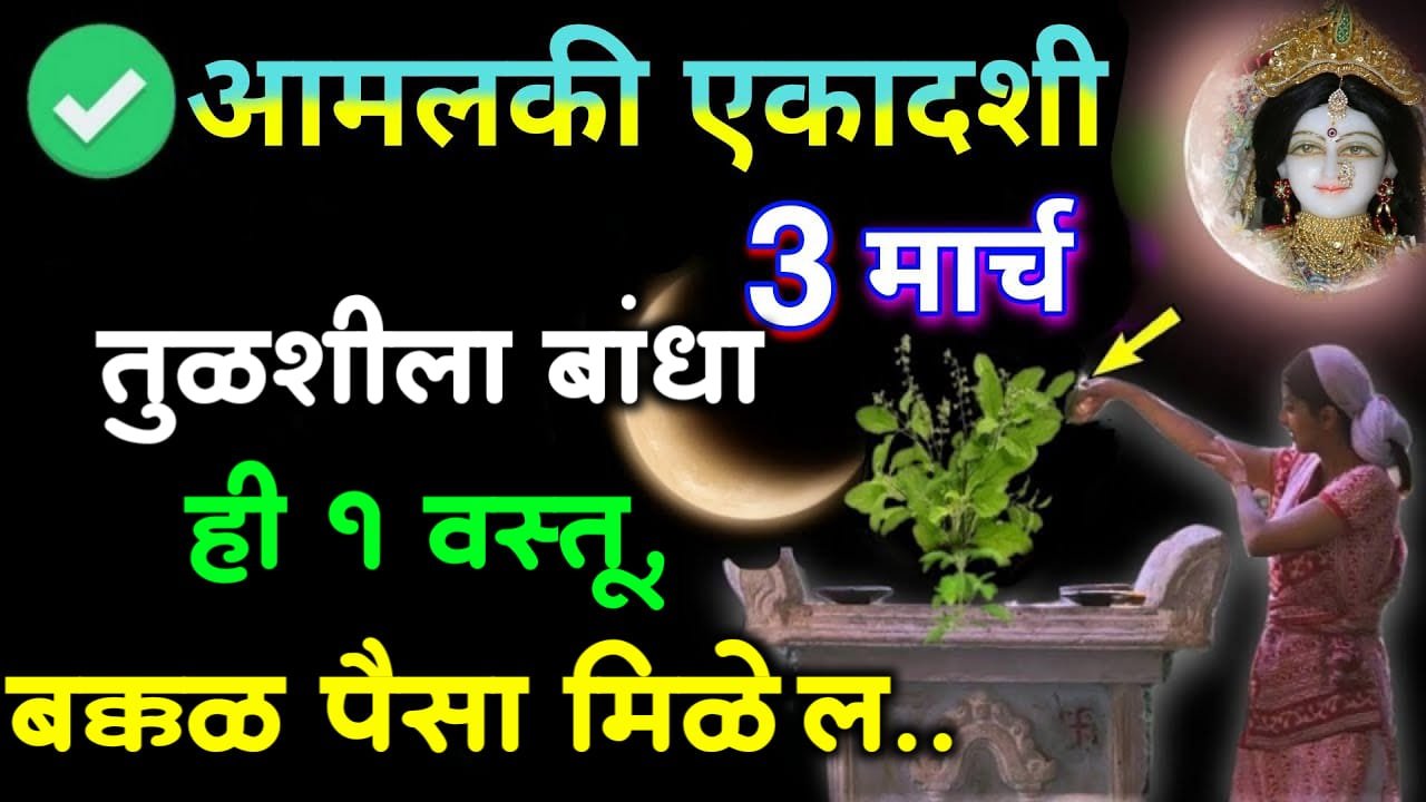 3 मार्च, आमलकी एकादशी तुळशीला बांधा ही 1 वस्तू, बक्कळ पैसा मिळेल..