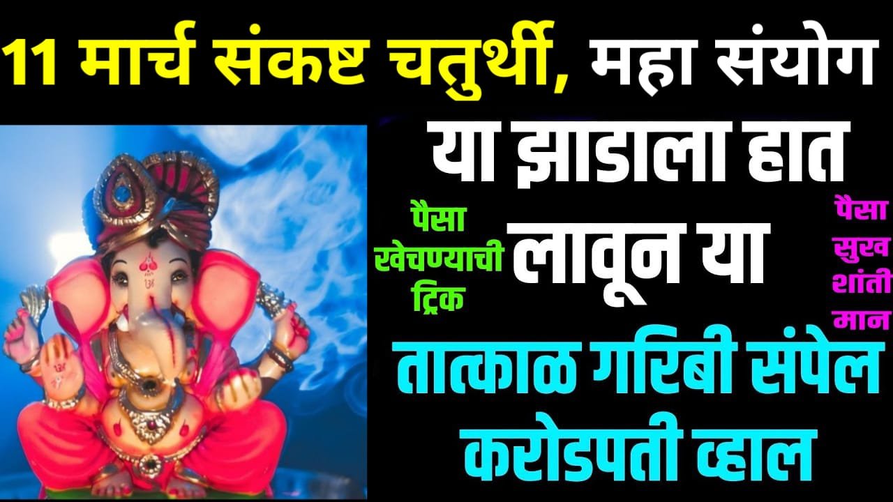 11 मार्च संकष्ट चतुर्थी, महा संयोग या झाडाला हात लावून या, बक्कळ पैसा मिळेल..