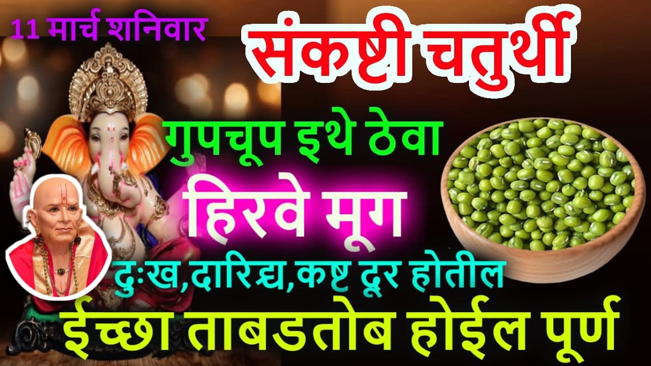 11 मार्च, संकष्टी चतुर्थी गुपचूप इथे ठेवा हिरवे मूग दुःख, दारिद्र्य, कष्ट दूर होतील..