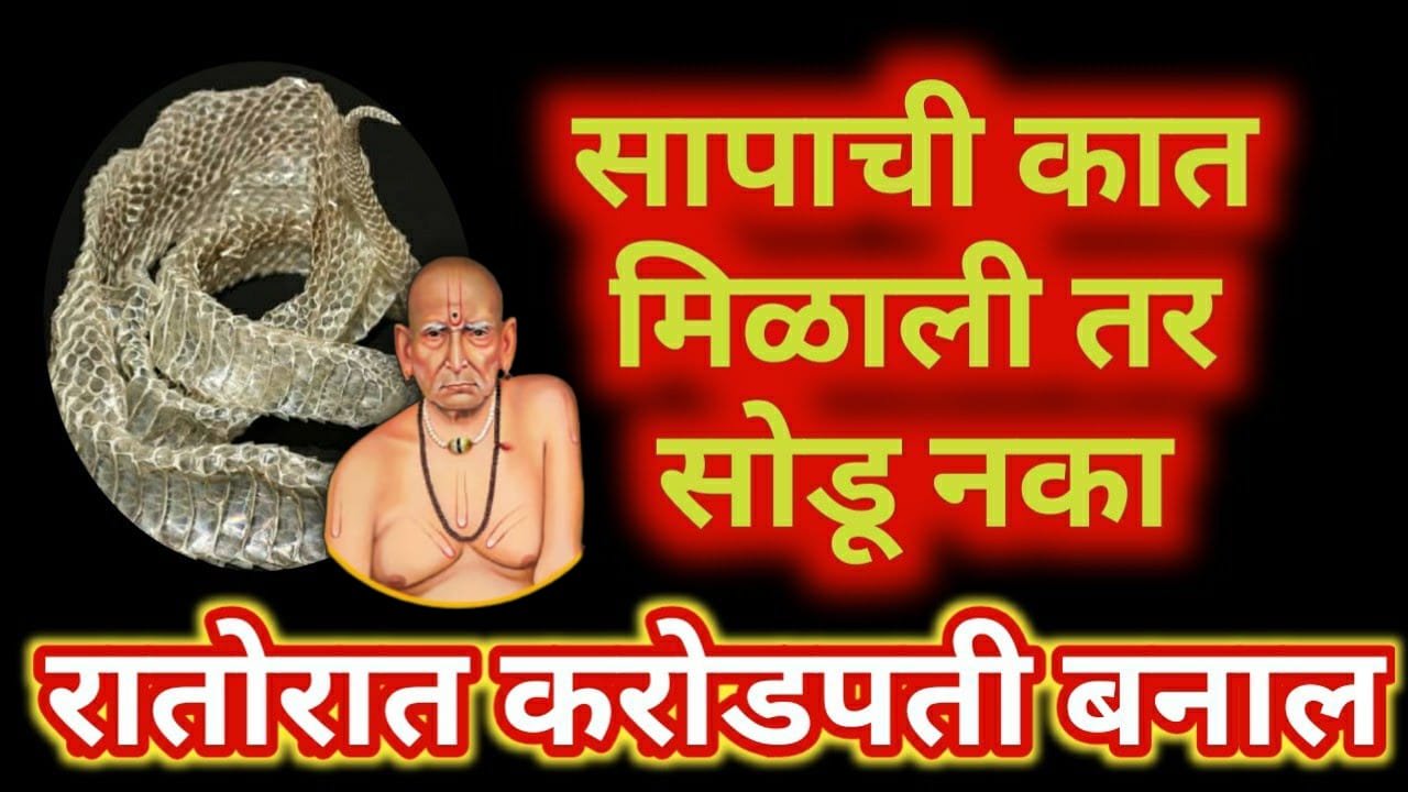 सापाची कात मिळाली तर सोडू नका रातोरात करोडपती बनाल, बक्कळ पैसा मिळेल…
