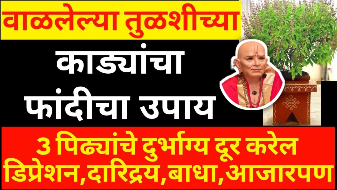 वाळलेल्या तुळशीच्या फांदीच्या काड्याचा उपाय, 3 पिढ्यांचे डिप्रेशन, दारिद्रय, बाधा दुर्भाग्य दूर करेल…